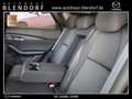 Mazda CX-30 Homura 150 Navigation|LED|Kamera Blanc - thumbnail 15