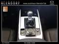 Mazda CX-30 Homura 150 Navigation|LED|Kamera Blanc - thumbnail 9