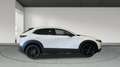 Mazda CX-30 2024 2.0 e-SKYACTIV G MHEV 122CV 6MT FWD HOMURA Blanc - thumbnail 6