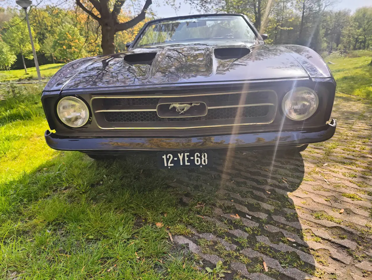 Ford Mustang Covertible, foto 4