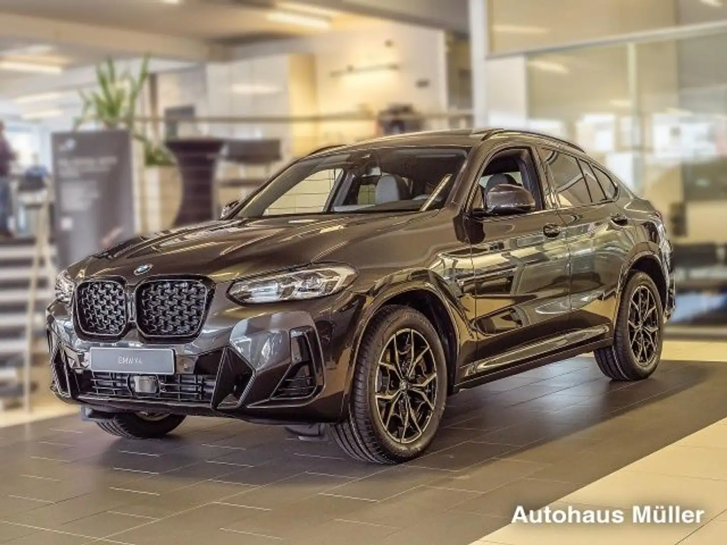 BMW X4 xDrive20i M Sport ACC Pano HiFi Komfortzugang Сірий - 2