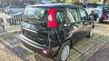 Fiat Panda 1.0 firefly hybrid s&s 70cv KM ZERO Nero - thumbnail 5