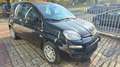 Fiat Panda 1.0 firefly hybrid s&s 70cv KM ZERO Nero - thumbnail 6