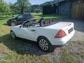 Mercedes-Benz SLK 230 SLK 230 Kompressor Weiß - thumbnail 3
