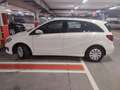 Mercedes-Benz B 180 d (cdi) Executive auto FL E6 Wit - thumbnail 1