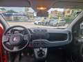 Fiat Panda 1.0 firefly hybrid PROMO FINANZIAMENTO Rot - thumbnail 7