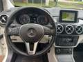 Mercedes-Benz B 200 B 200 A/Navi/AHK/Kamera/Rentnerfahrzeug Weiß - thumbnail 7
