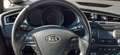 Kia Ceed SW / cee'd SW cee'd SW 1,6 CRDi Österreich Edition Österreich Edition Weiß - thumbnail 13