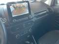 Ford EcoSport 1.0 ecoboost Titanium G. 4STAGIONI/RETRO CAMERA Rosso - thumbnail 13
