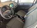 Ford EcoSport 1.0 ecoboost Titanium G. 4STAGIONI/RETRO CAMERA Rosso - thumbnail 10