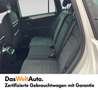 Volkswagen Tiguan Sky TSI ACT OPF DSG Blanc - thumbnail 7