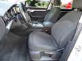 Volkswagen Touareg Touareg 3.0 V6 tdi 231cv tiptronic Bianco - thumbnail 7