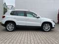 Volkswagen Tiguan Sport & Style BMT/PDC/Pano/2 Hand/Scheckh Weiß - thumbnail 6