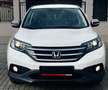 Honda CR-V 2.0i-VTEC 4WD Automatik Elegance Weiß - thumbnail 1