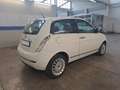 Lancia Ypsilon 1.2 8v Argento 69cv -Garanzia12m- Bianco - thumbnail 6