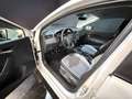 SEAT Ibiza Style Weiß - thumbnail 20
