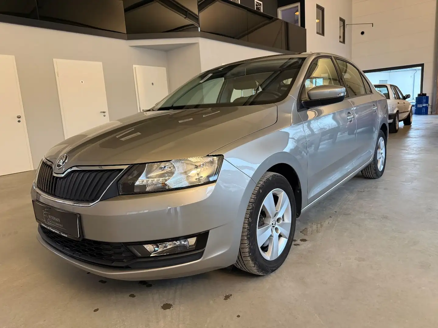 Skoda Rapid/Spaceback Ambition Beige - 1