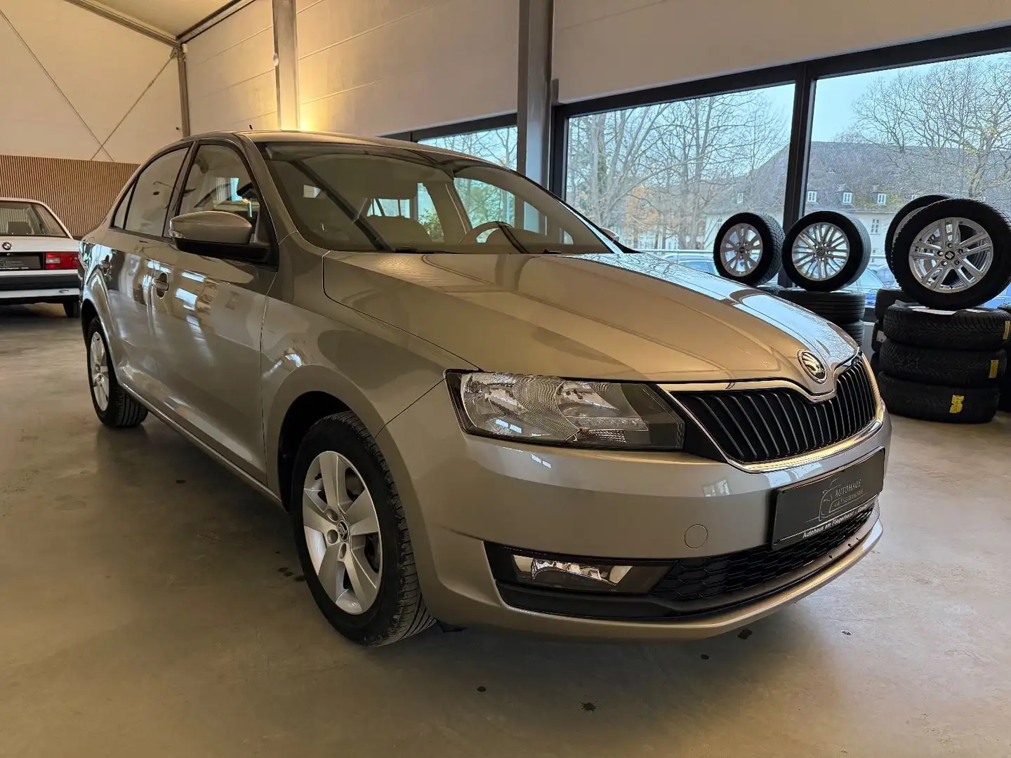 Skoda Rapid/Spaceback Ambition Beige - 2