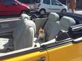 Saab 900 900 Cabriolet T16 Jaune - thumbnail 2