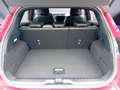 Ford Puma 1.0 MHEV Aut. ST-LINE X *WinterPk*FahrAssist* Rot - thumbnail 7