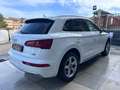 Audi Q5 2.0 TDI quattro S tronic Business Blanc - thumbnail 6