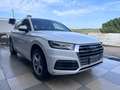Audi Q5 2.0 TDI quattro S tronic Business Blanc - thumbnail 4