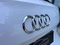 Audi Q5 2.0 TDI quattro S tronic Business Blanc - thumbnail 12