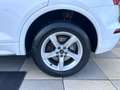 Audi Q5 2.0 TDI quattro S tronic Business Blanc - thumbnail 9