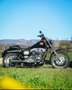 Harley-Davidson Dyna Low Rider - thumbnail 15