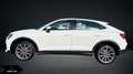 Audi Q3 Q3 Sportback 35 2.0 tdi quattro s-tronic - thumbnail 8
