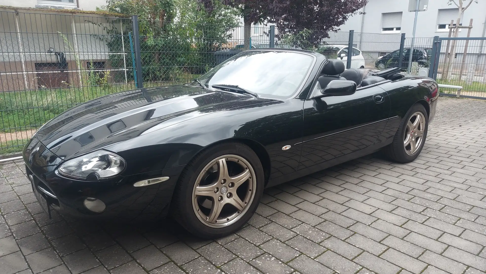 Jaguar XK8 XK8 Cabriolet-Liebhaberstück aus guter Hand! Negro - 1