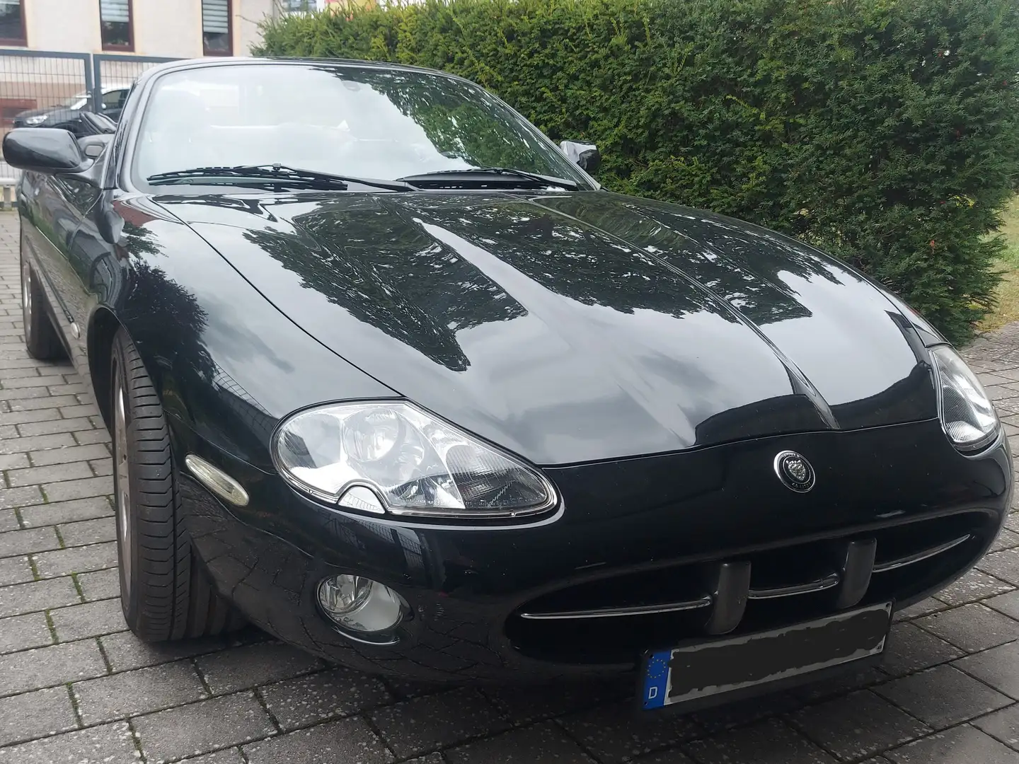 Jaguar XK8 XK8 Cabriolet-Liebhaberstück aus guter Hand! Negro - 2