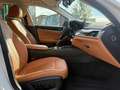 BMW 520 520d-sfeerverlichting-camera-Elekzetels-Conga Weiß - thumbnail 13