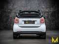 smart forTwo cabrio passion DCT HP121|SPORT|TAILORMADE Weiß - thumbnail 5