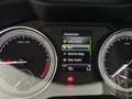 Skoda Superb Style TDI DSG Grau - thumbnail 13