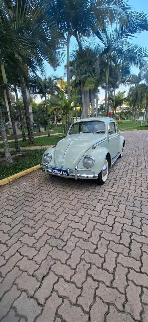 Volkswagen Coccinelle Historique Vert - 1