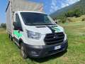 Ford Transit CENTINA -TELONE APRIBILE -CASSONE  OFFERTATA - thumbnail 2
