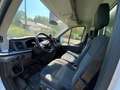 Ford Transit CENTINA -TELONE APRIBILE -CASSONE  OFFERTATA - thumbnail 7
