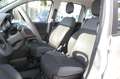 Fiat Panda 1.2 Easy 69CV S&S Uff Italy Unico Proprietario Argento - thumbnail 9
