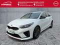 Kia Ceed / cee'd GT 1.6DCT  AUTOMATIK JBL SOUND Weiß - thumbnail 1