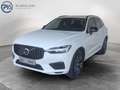 Volvo XC60 T6 AWD Recharge PHEV R-Design Expression Weiß - thumbnail 1
