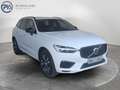 Volvo XC60 T6 AWD Recharge PHEV R-Design Expression Weiß - thumbnail 8
