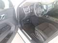 Volvo XC60 T6 AWD Recharge PHEV R-Design Expression Weiß - thumbnail 10