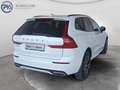 Volvo XC60 T6 AWD Recharge PHEV R-Design Expression Weiß - thumbnail 6