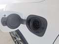 Volvo XC60 T6 AWD Recharge PHEV R-Design Expression Weiß - thumbnail 20