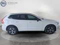 Volvo XC60 T6 AWD Recharge PHEV R-Design Expression Weiß - thumbnail 7