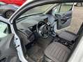 Ford Transit Connect Kasten Limited Weiß - thumbnail 6
