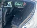 Alfa Romeo Stelvio Stelvio 2.2 Turbodiesel 190 CV AT8 Q4 VELOCE - thumbnail 15