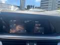 Alfa Romeo Stelvio Stelvio 2.2 Turbodiesel 190 CV AT8 Q4 VELOCE - thumbnail 19