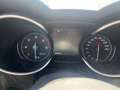 Alfa Romeo Stelvio Stelvio 2.2 Turbodiesel 190 CV AT8 Q4 VELOCE - thumbnail 23